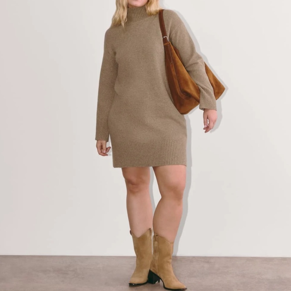Everlane The Cozy Stretch Turtleneck Wool Yak Blend Sweater Mini Dress Size XS